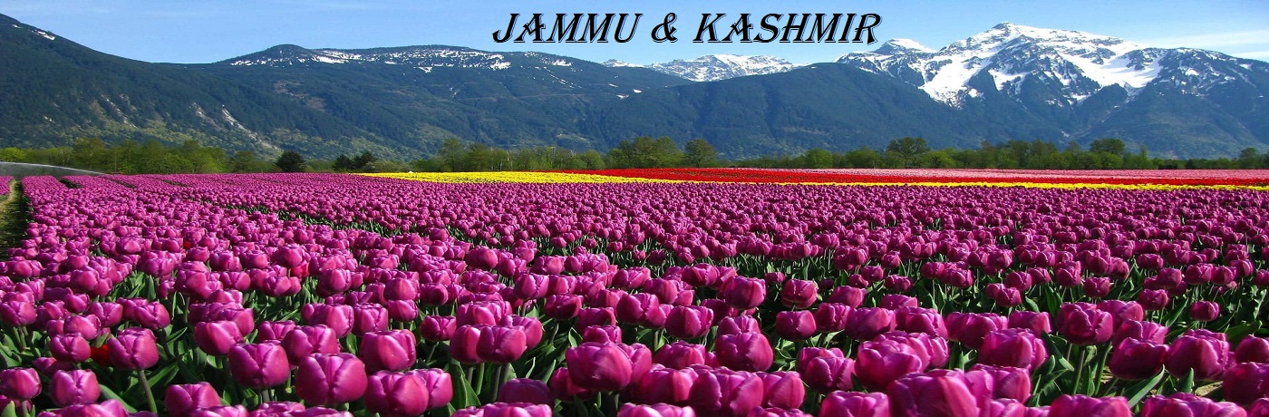 Kashmir